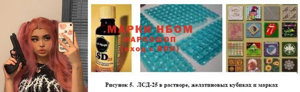 дживик Инсар